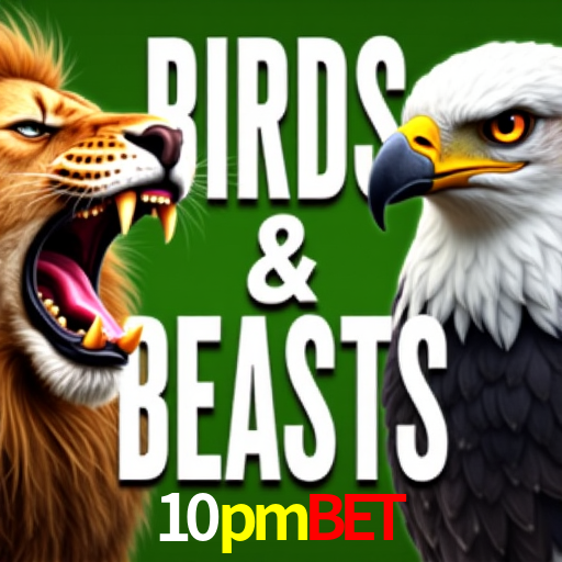 Game Statistics 10pmbet